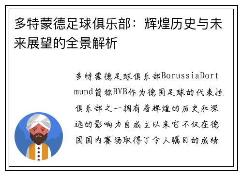 多特蒙德足球俱乐部：辉煌历史与未来展望的全景解析