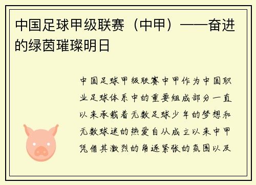 中国足球甲级联赛（中甲）——奋进的绿茵璀璨明日